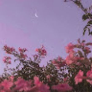 Meet your Posher, Lizbeth